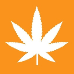 Coin image for 21nnfR4TkbZNLwvRrqEseAbz7P3kxKjaV7KuboLJpump