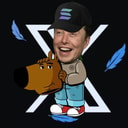 Coin image for 22Rnyf3tacqSJsLUQfiTqdopHGE8KmPNFEHMK6K7moon