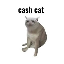 Coin image for 22deNCri9bBae1GWZxdaDxipMWdwAUQ2ddvxdSmgpump