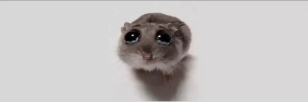 SAD HAMSTER Banner