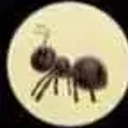 Coin image for 2A7QibtK6FMmnqPqYUZJzydEiUL7w9122DFcrRhhYfkP
