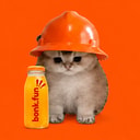 BONKCAT