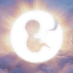Coin image for 2BMTmkGkoReNwmt9FqiDWZHgu5VNa8NuWMhLSZfTpump
