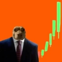 Coin image for 2CrzXGykCrwvYyondiHSC6cHWBrvdgULYQuGxX26bonk
