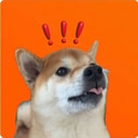 Coin image for 2DSFvQtdoqv7DjPgXL5tjTYJ3ABBnoBeTfAJTXNdbonk