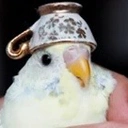 Coin image for 2EBjqPYGLUExdWwJJRLqtGPawzb2aMjE1wTpUYKhy2UQ