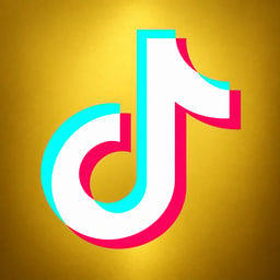 Coin image for 2JqLJofses5nCLM8kWM4LMnRVgGx6yQTNxLHZdmypump