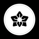 Coin image for 2MuDS29b6rQb9MydKLMvggST5Yqez3B6gYWitvvjc6ir