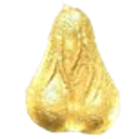 Coin image for 2RX1jpG6Gj4oXqXkMb4KSdCYupMAy5yo6KJRuGKaeoRY