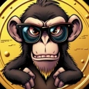 Coin image for 2Y2JVSHNfYCohDa3H44vCheNYVc7BKUcEFXzMz3MJQY6