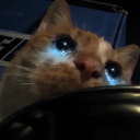 Coin image for 2bskEKaE5Ehu4MeHncCaoRNrDUj8UZbg5hVQhKty2zKh