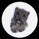 Coin image for 2cFQuhzsh5UsThUZWju67eW4XsdULqPNVUnX5nCggoHi