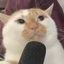 PODCAT