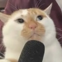 PODCAT