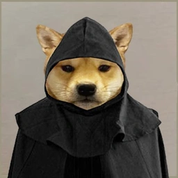 Coin image for 2kWWYnzYnKwNwYGjhrJ9XejifWYPRs1SUhCniHqMviDK