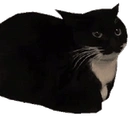 Coin image for 2pfThqAN7h5cSMSCytL2Nrh3T43nuD8drVmG5cPfyknv