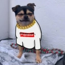 Coin image for 2pgXKywWUpotbzxgrawxgxnicCMrrSbovxP9AT9EL8PW