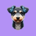 Coin image for 2qVfuV3jqmhhqahtxCxf3jq2PcUKkDyhmPLKPJxfr8aD
