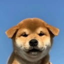 Coin image for 2twniGDWiibKXDKeFUaeomAUXfcET9YdsRxst4XZf3E8