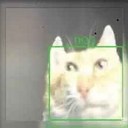 Coin image for 3Cb28b5FCGmPuVJzv8NDkSw9SXuGcZmUZurLXFhKdoge