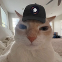 Coin image for 3DdDYGZkVypMyfCuHn3FoPA5RpcNoErqocDZnweNtsJL