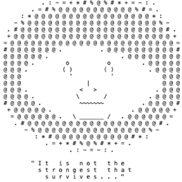 Coin image for 3FiDYooP2sqsVdJD9FgVGjzRgoNFnv59hmUEXS2opump