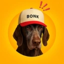 Coin image for 3KUAWkTxCC9AaZCyL83RRCRbMaQAKsiPj7wZGCbQbonk