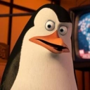 Coin image for 3WoatNLfMffazu8aCSmRSdWFngpJQ4GUMFJxtSzoDqau