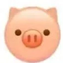 Coin image for 3XTuUqJGTyqeh5f6dGgdUURWFXptVRGPExTBzQSWbonk