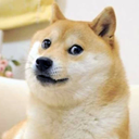 Coin image for 3Xnrk8nzw5HrGYY8aY7mwnxSMDowJX5vtEkutKsBdoge