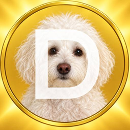 Coin image for 3a6zGuZicVQY5hVZWhv2nyjHPon2gHkL3ghQq6Mwpump