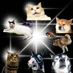 Kyupiiin Effect logo