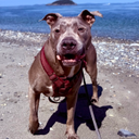 Coin image for 3ferhyrykXRYkvCd38ptrPEuWiasZo5thaddVqUpdoge