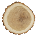 Coin image for 3gqLSFPLjG6B9E8KKMhcBuiGx1GzjjzZTRxnmxvvHPkU