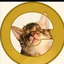 Coin image for 3iwLSCVE9t4uMofNuCCfMg3ufYKhmSKVmfZVCokEc3TD