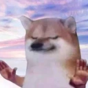 Coin image for 3k2zAVrTryLGPDbxLd1LitAQR8xhGgux4z7NPFYQbonk