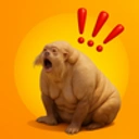 Coin image for 3rrEdp8AF3vgujbGEpsU2bq3TqbGUZqscGhJ1jc1bonk