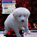 Coin image for 3tXHZMyaHgrJgL3PjhpjsnHTAYPX935RmThA9RxXsz7m