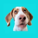 Coin image for 3wNLKRkgSaYhrBghvvkHuavs42TvahixK6PBX2hyVWpE