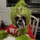 Coin image for 41u58V3PhwnL4GBsaBXNLsY4At5GmMreVPjSzUtCgq5j