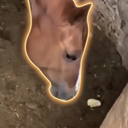 Coin image for 49ooKdzf9gR1AARMHdGcCXxThxQJ6JjTbUTwSGvhpump
