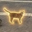 S◎L Cat