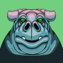 Coin image for 4GpvPuwYjxZ5tekMGGjiuCBb8M6rDjGVk3gZ9gJhippo
