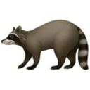 Coin image for 4JkDUcxdtCaswue1SMMyowvMdpL8rxF9RTqGXcJcs1mU