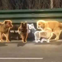 Coin image for 4TAcpQkFct38WRcxCDK2yb9G4bKZHzMYjaQgtmX4doge