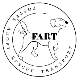 Coin image for 4YhZSQAcfGnhgL9DG9hoomeiQ61uLiaL7uLhkwEBpump