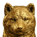 Coin image for 4bAREi8d8ds7qtMyzzF6J7sLDDT5a1KBPdz8EbAeptzp