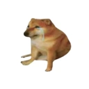 Coin image for 4gkq3cTRVSZFZYLL31gqrLWvErKcNQbhZxw8quhXbonk