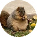Coin image for 4hgURBd1LJiTNbBDfQv998yypQ4TXZbjPXEMDisTKSoy