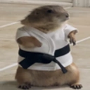 Coin image for 4moebF5djkaieYKKWCXKjjStNqtWq7B4Y3rnjQFJbonk